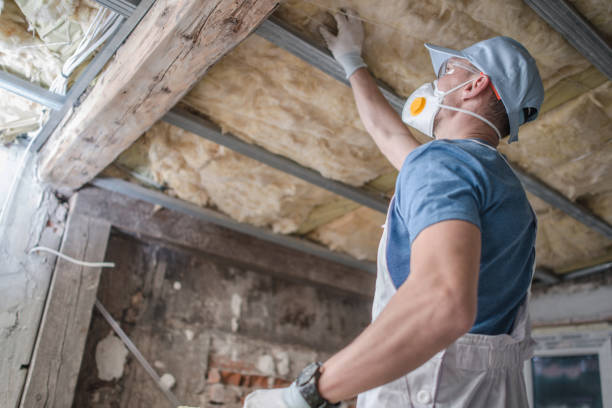 Best Specialized Insulation Services in Lamont, CA