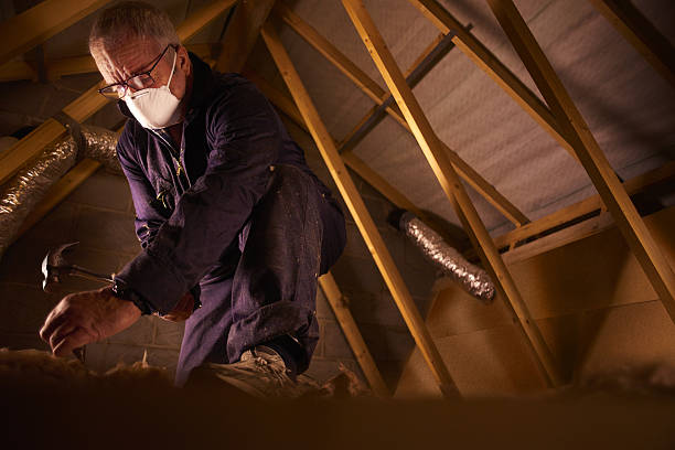 Best Eco-Friendly Insulation in Lamont, CA